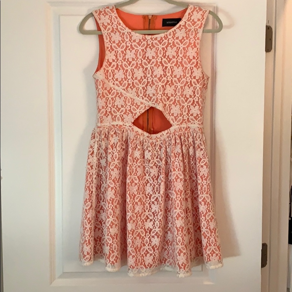 Mink pink dress